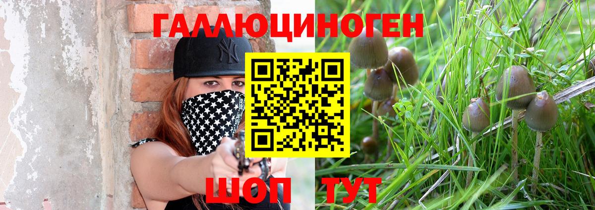 Галлюциногенные грибы Psilocybine cubensis  где можно купить   Вход с VPN  Прокопьевск  Галлюциногенные грибы прущие грибы 